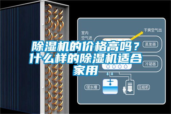 国产精品欧美激情视频 除湿机的价格高吗？什么样的除湿机适合家用