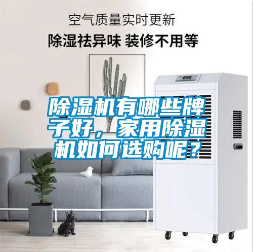 国产精品欧美激情视频 除湿机有哪些牌子好，家用除湿机如何选购呢？