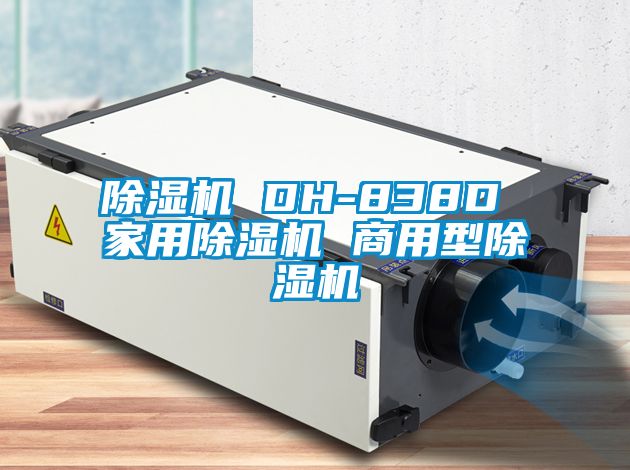 国产精品三级在线观看 除湿机 DH-838D 家用除湿机 商用型除湿机