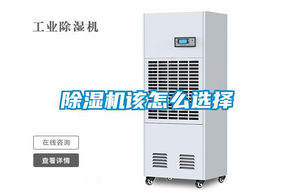 国产精品三级在线观看 除湿机该怎么选择