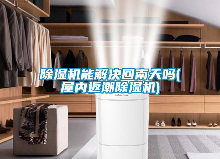 国产精品探花在线观看 除湿机能解决回南天吗(屋内返潮除湿机)