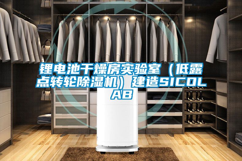 国产精品欧美激情视频 锂电池干燥房实验室（低露点转轮除湿机）建造SICOLAB
