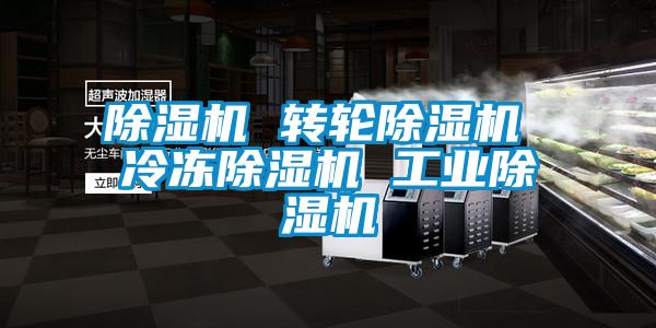 国产精品欧美激情视频 除湿机 转轮除湿机 冷冻除湿机 工业除湿机