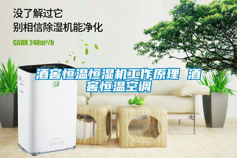 国产精品欧美激情视频 酒窖恒温恒湿机工作原理 酒窖恒温空调