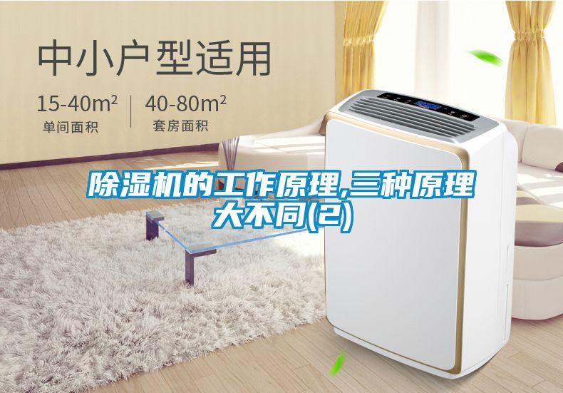 国产精品探花在线观看 除湿机的工作原理,三种原理大不同(2)