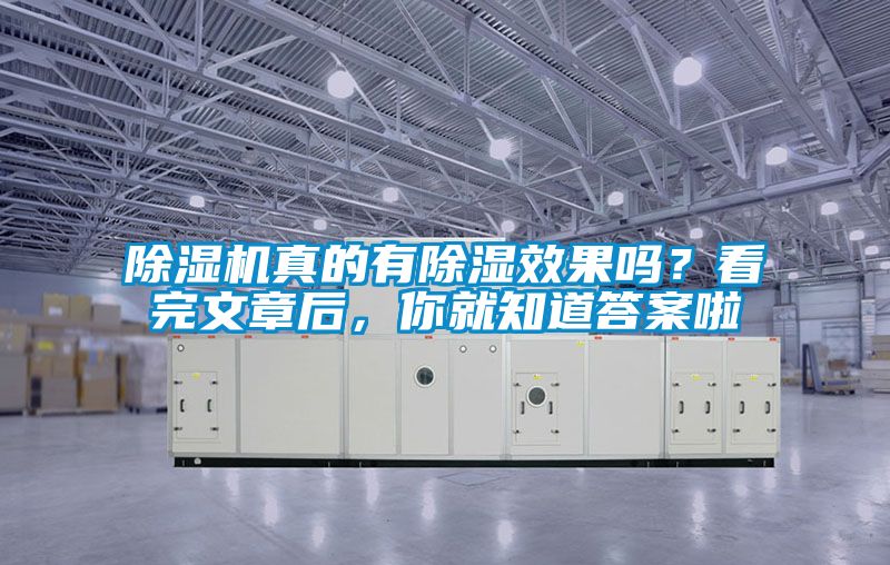 国产精品欧美激情视频 除湿机真的有除湿效果吗？看完文章后，你就知道答案啦