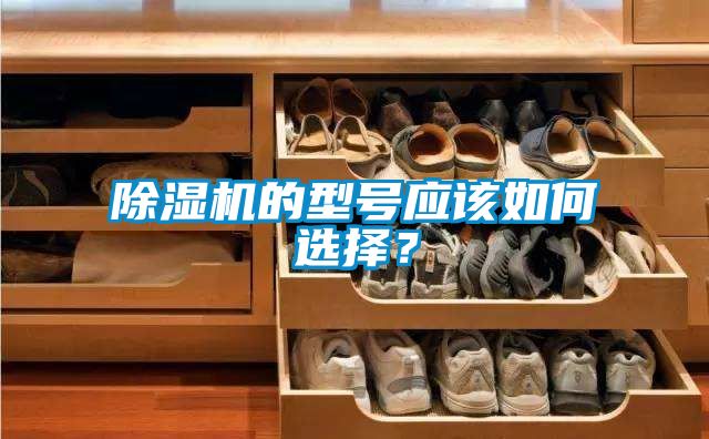 国产精品三级在线观看 除湿机的型号应该如何选择？