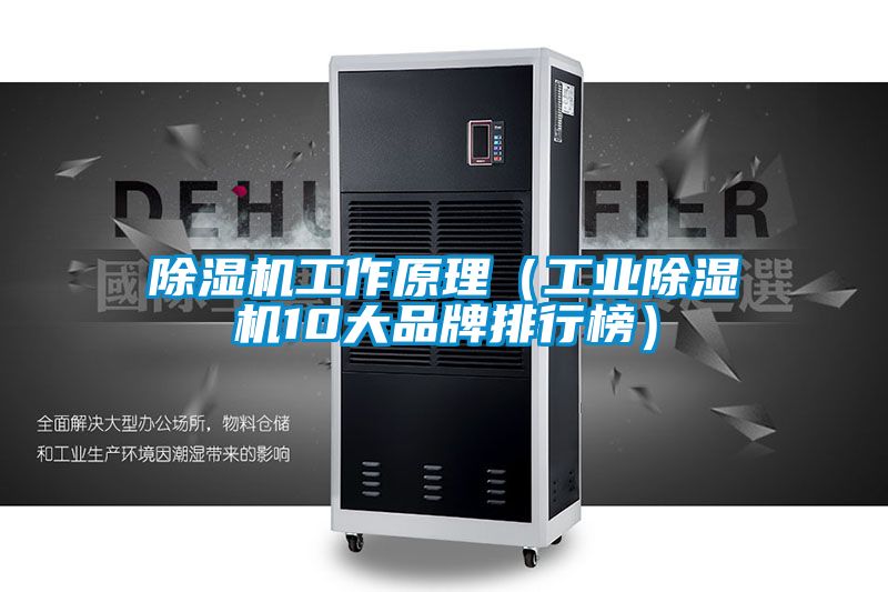 国产精品探花在线观看 除湿机工作原理（工业除湿机10大品牌排行榜）
