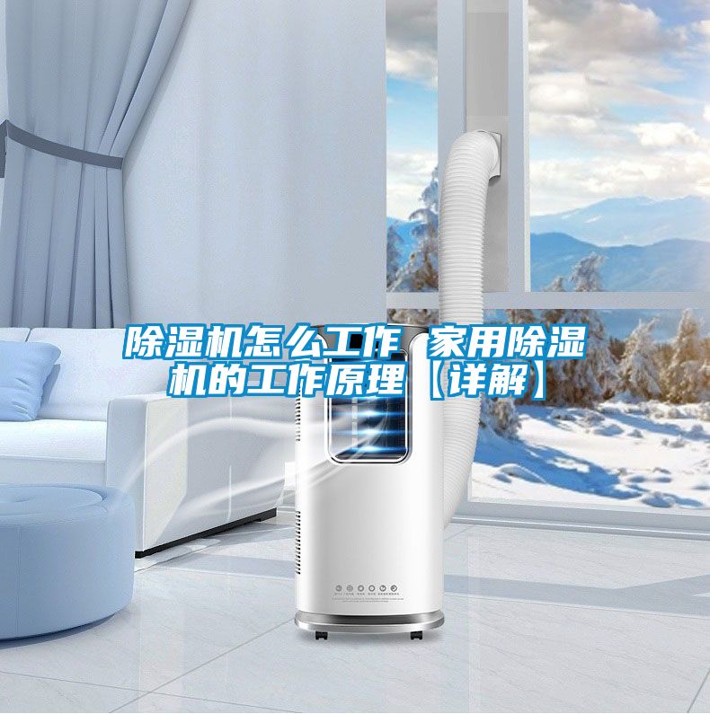 国产精品三级在线观看 除湿机怎么工作 家用除湿机的工作原理【详解】