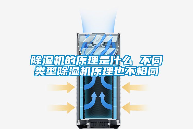 国产精品三级在线观看 除湿机的原理是什么 不同类型除湿机原理也不相同
