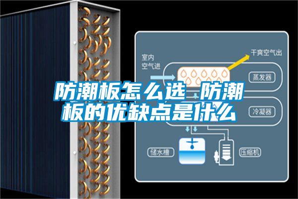 国产精品三级在线观看 防潮板怎么选 防潮板的优缺点是什么