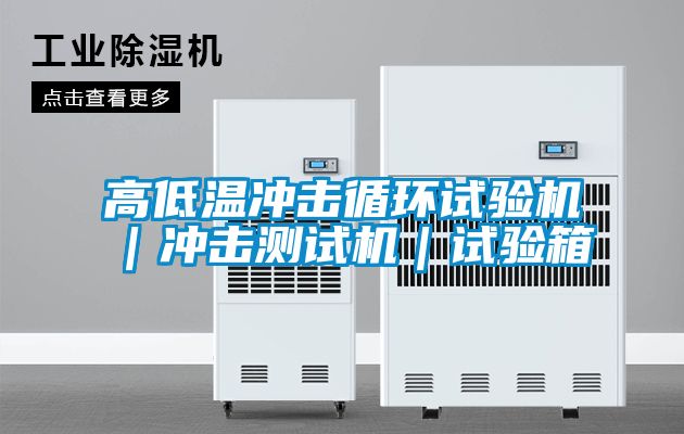 国产精品三级在线观看 高低温冲击循环试验机｜冲击测试机｜试验箱