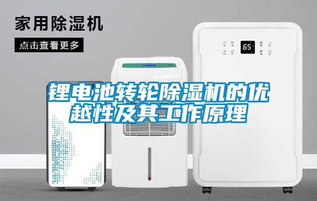 国产精品三级在线观看 锂电池转轮除湿机的优越性及其工作原理