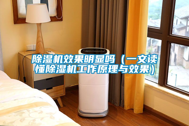 国产精品欧美激情视频 除湿机效果明显吗（一文读懂除湿机工作原理与效果）