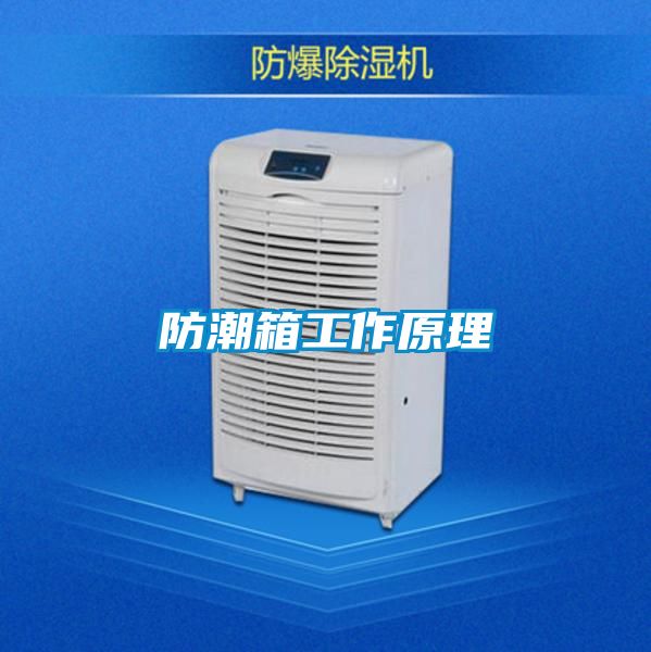 国产精品探花在线观看 防潮箱工作原理
