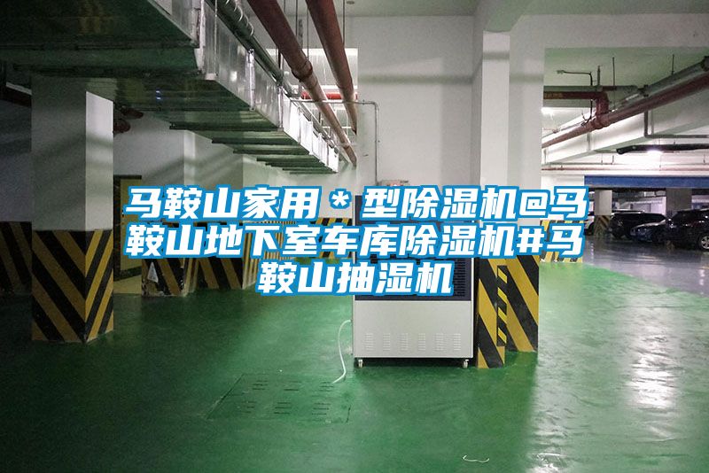国产精品三级在线观看 马鞍山家用＊型除湿机@马鞍山地下室车库除湿机#马鞍山抽湿机