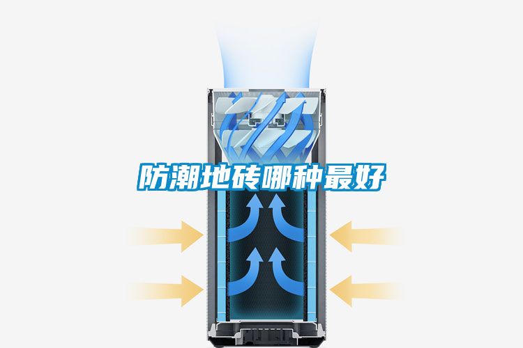 国产精品探花在线观看 防潮地砖哪种最好