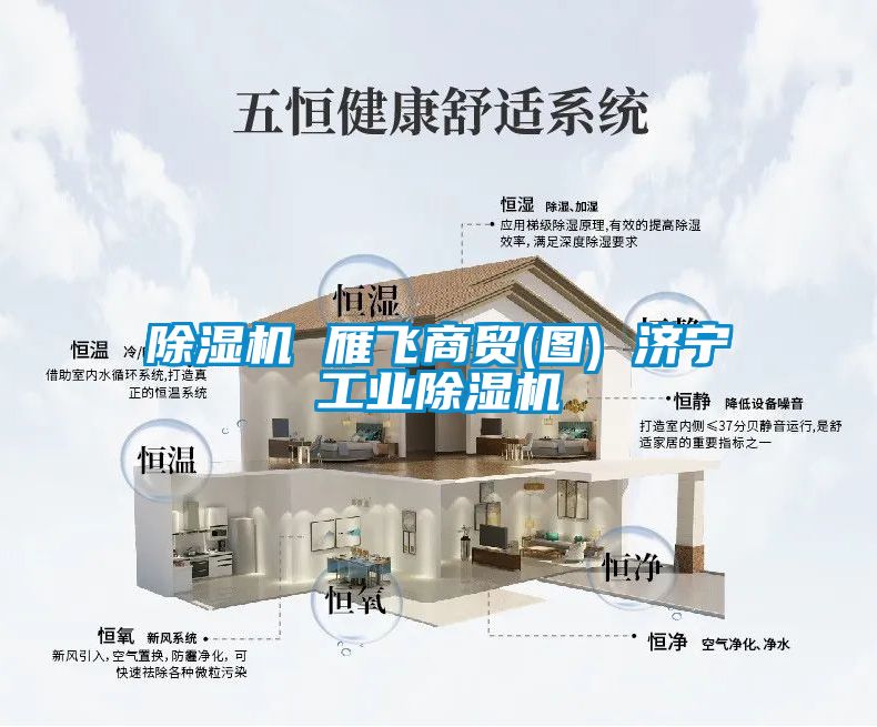 国产精品探花在线观看 除湿机 雁飞商贸(图) 济宁工业除湿机