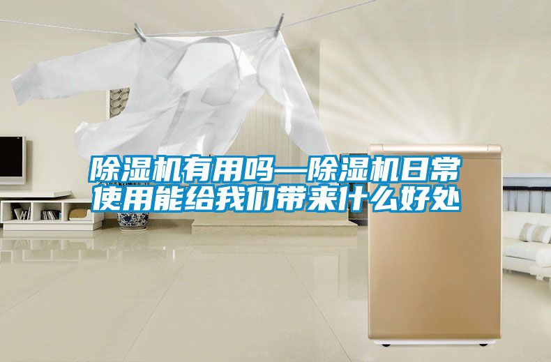 国产精品欧美激情视频 除湿机有用吗—除湿机日常使用能给我们带来什么好处