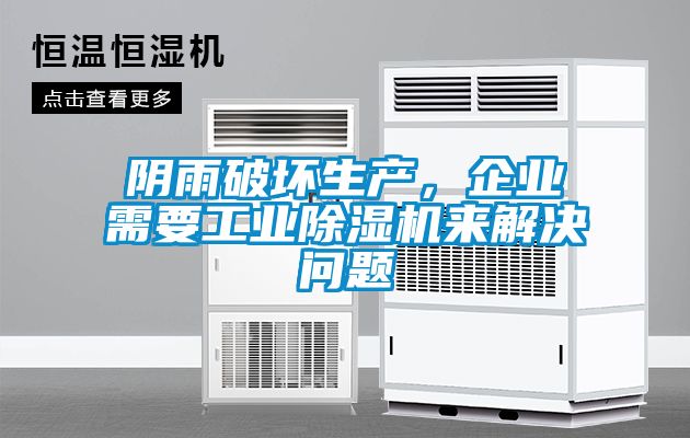 国产精品三级在线观看 阴雨破坏生产，企业需要工业除湿机来解决问题