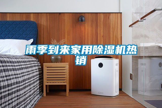 国产精品三级在线观看 雨季到来家用除湿机热销