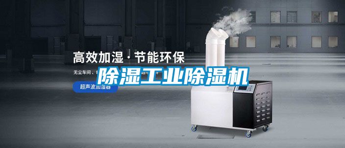 国产精品三级在线观看 除湿工业除湿机