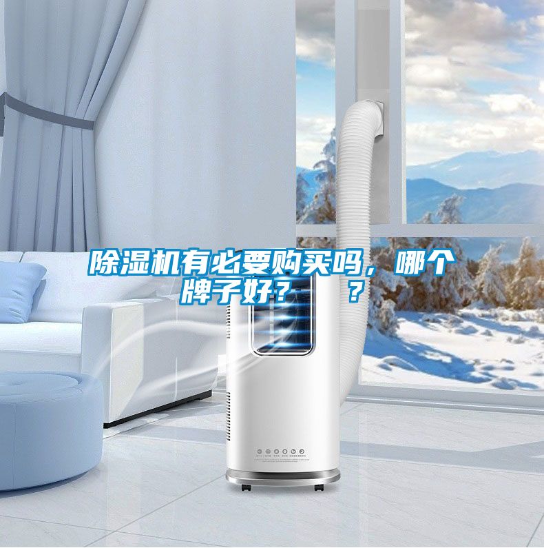 国产精品三级在线观看 除湿机有必要购买吗，哪个牌子好？  ？