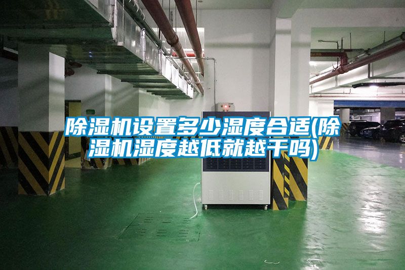 国产精品欧美激情视频 除湿机设置多少湿度合适(除湿机湿度越低就越干吗)