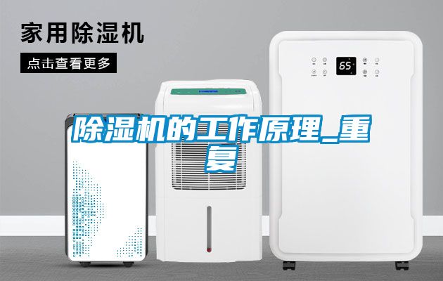 国产精品三级在线观看 除湿机的工作原理_重复