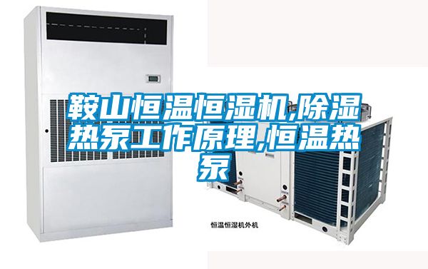 国产精品探花在线观看 鞍山恒温恒湿机,除湿热泵工作原理,恒温热泵