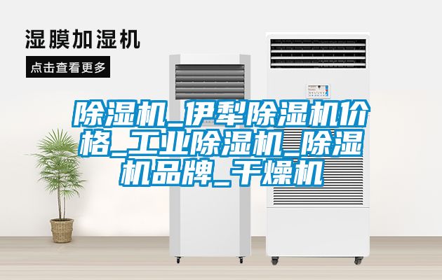 国产精品欧美激情视频 除湿机_伊犁除湿机价格_工业除湿机_除湿机品牌_干燥机