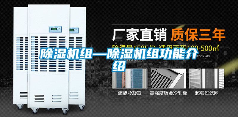 国产精品欧美激情视频 除湿机组—除湿机组功能介绍
