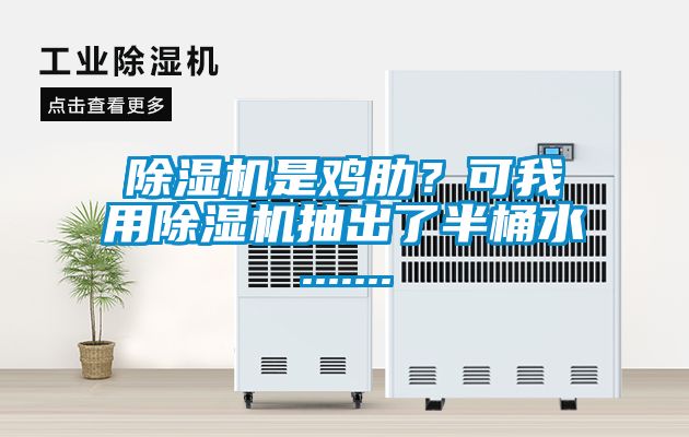 国产精品欧美激情视频 除湿机是鸡肋？可我用除湿机抽出了半桶水.......