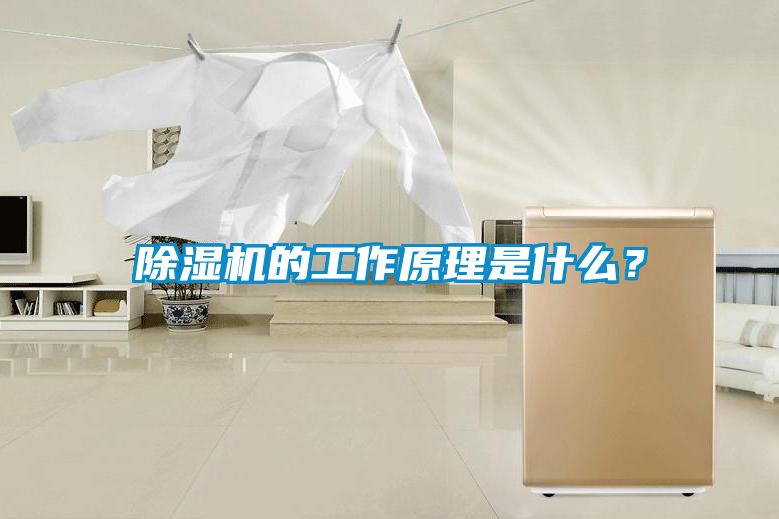 国产精品欧美激情视频 除湿机的工作原理是什么？