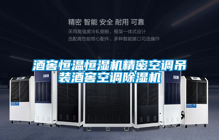 国产精品三级在线观看 酒窖恒温恒湿机精密空调吊装酒窖空调除湿机
