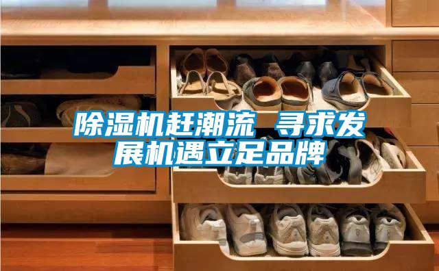 国产精品欧美激情视频 除湿机赶潮流 寻求发展机遇立足品牌