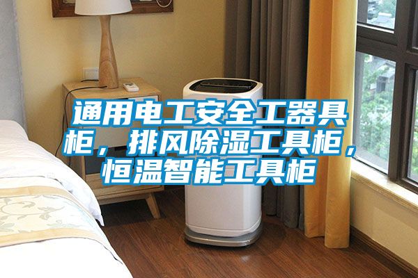 国产精品欧美激情视频 通用电工安全工器具柜，排风除湿工具柜，恒温智能工具柜