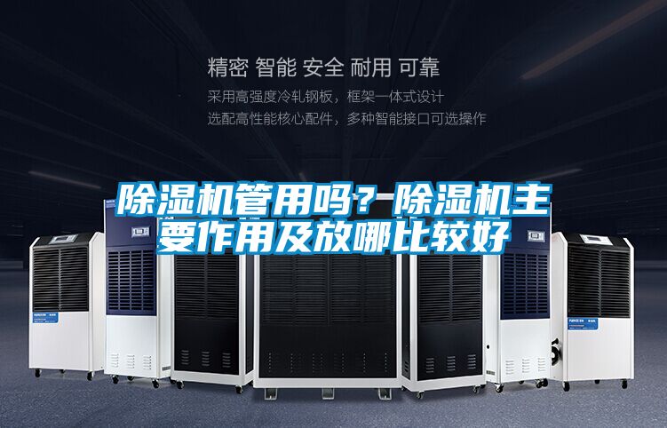 国产精品欧美激情视频 除湿机管用吗？除湿机主要作用及放哪比较好