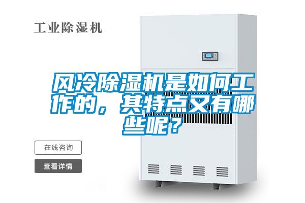 国产精品欧美激情视频 风冷除湿机是如何工作的，其特点又有哪些呢？