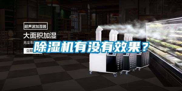 国产精品三级在线观看 除湿机有没有效果？