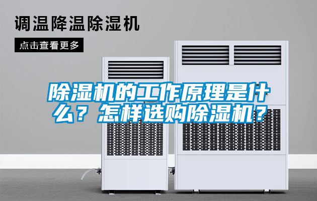 国产精品欧美激情视频 除湿机的工作原理是什么？怎样选购除湿机？