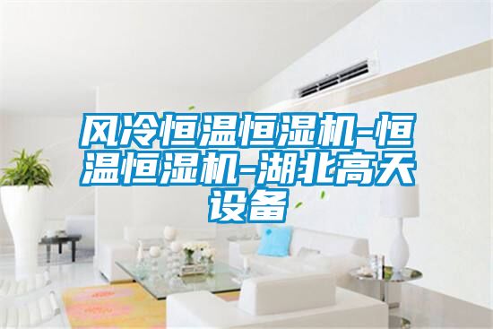国产精品欧美激情视频 风冷恒温恒湿机-恒温恒湿机-湖北高天设备