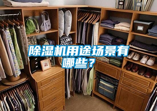 国产精品三级在线观看 除湿机用途场景有哪些？