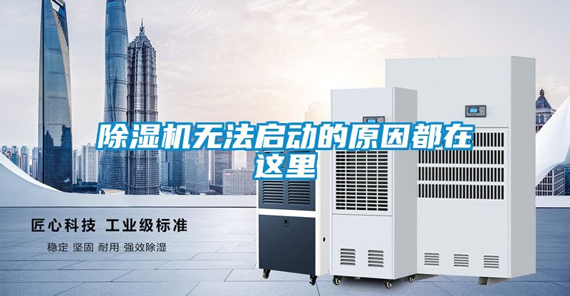 国产精品探花在线观看 除湿机无法启动的原因都在这里