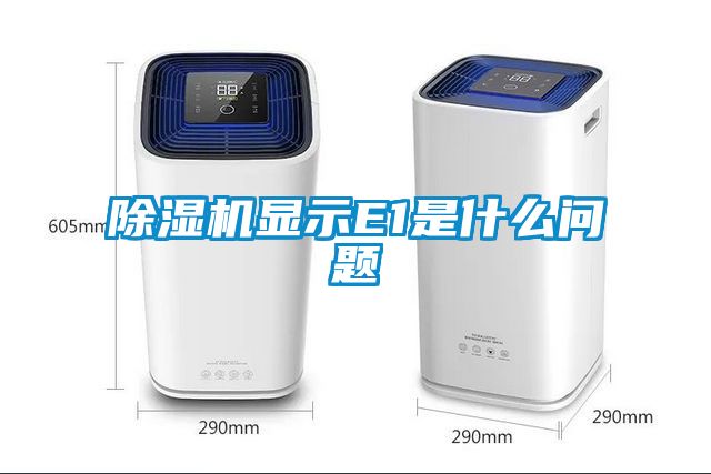 国产精品三级在线观看 除湿机显示E1是什么问题