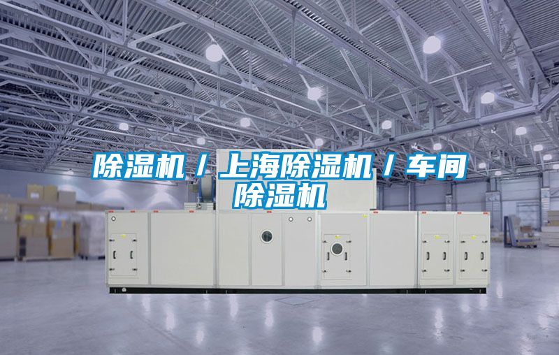 国产精品三级在线观看 除湿机／上海除湿机／车间除湿机