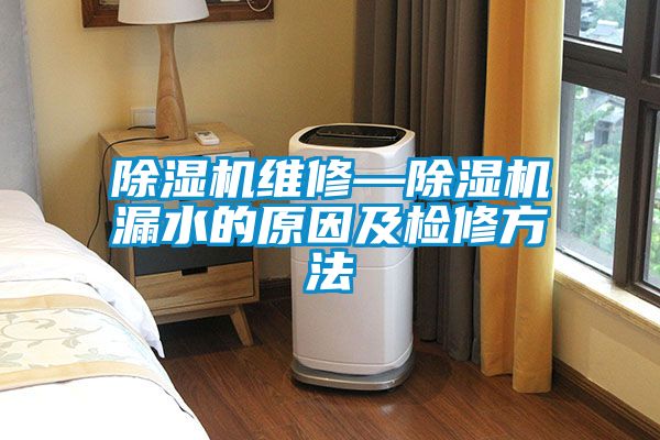 国产精品欧美激情视频 除湿机维修—除湿机漏水的原因及检修方法