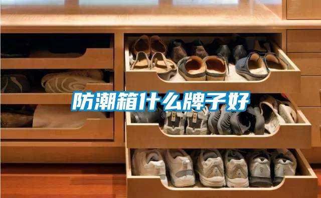 国产精品欧美激情视频 防潮箱什么牌子好