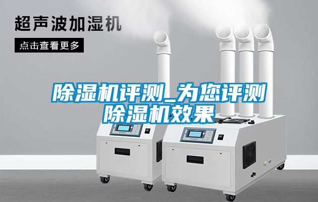 国产精品三级在线观看 除湿机评测_为您评测除湿机效果