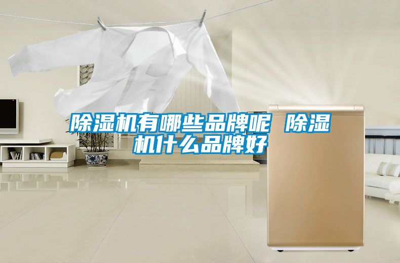 国产精品欧美激情视频 除湿机有哪些品牌呢 除湿机什么品牌好